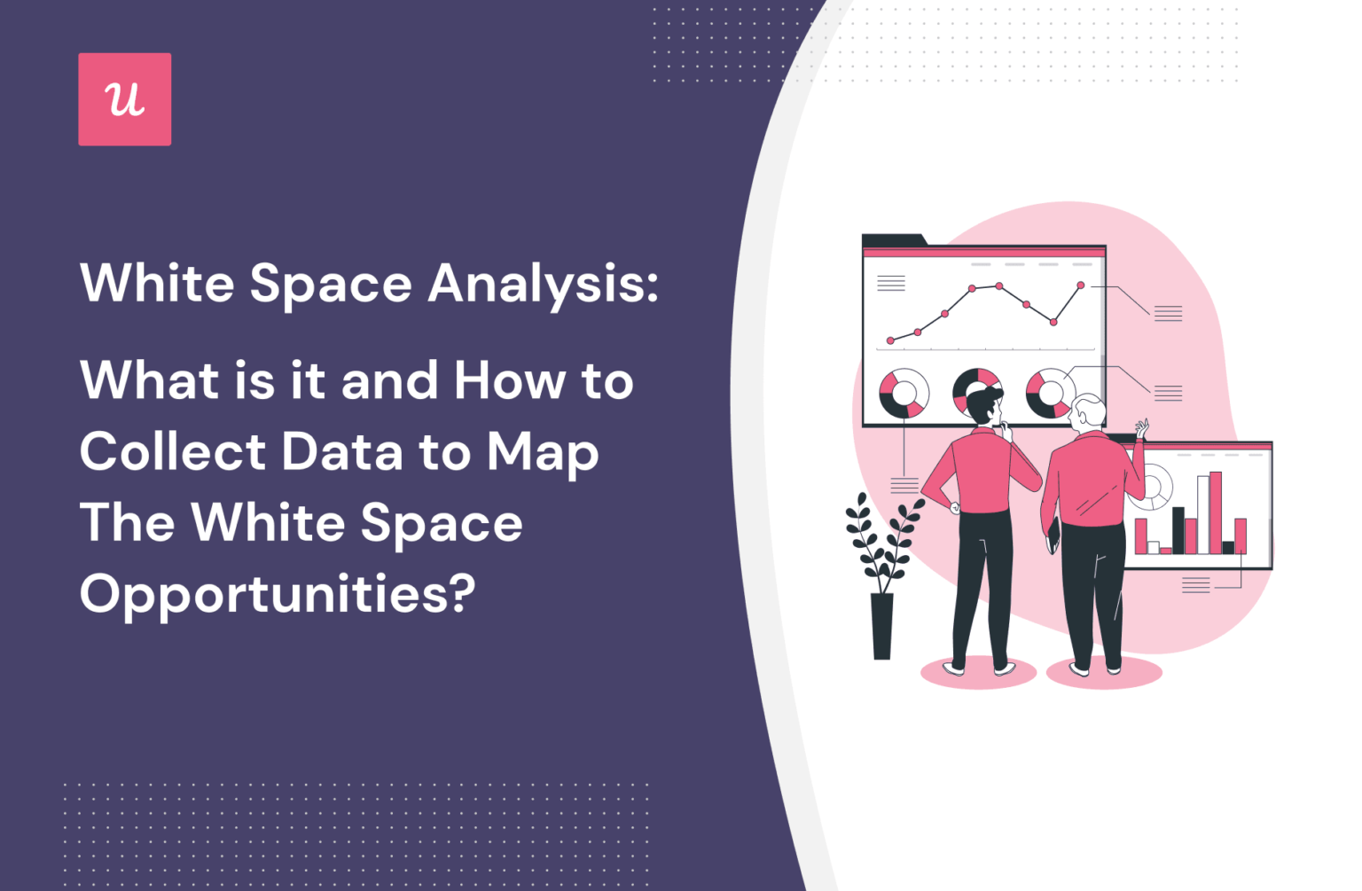 White Space Analysis What Is It & How To Collect Data To Map Them