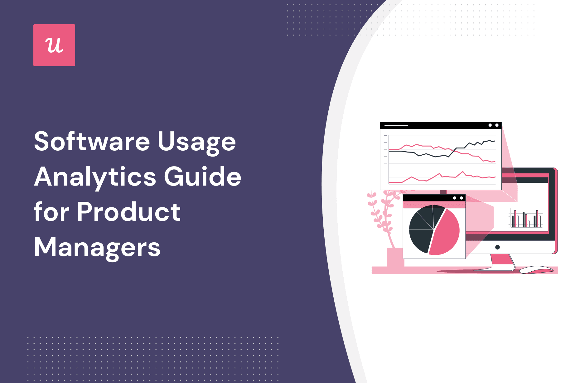 Software Usage Analytics Guide for Product Managers